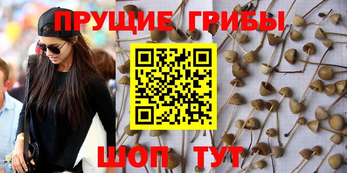 Галлюциногенные грибы прущие грибы Надым