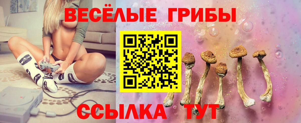 Псилоцибиновые грибы Psilocybine cubensis  цены   Вход с VPN  Надым  Псилоцибиновые грибы GOLDEN TEACHER 